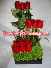 diseño tipo jardin